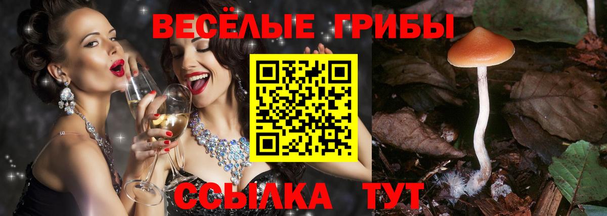 Псилоцибиновые грибы Magic Shrooms  Вход с VPN  Мыски  Псилоцибиновые грибы Magic Shrooms 
